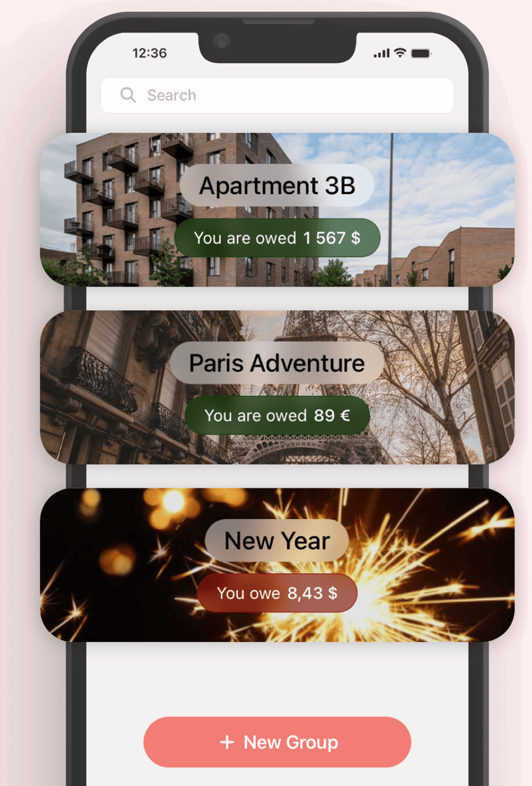 Budget Splitter groups screen showing trips and shared households